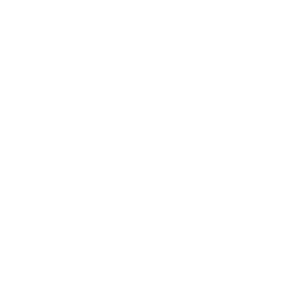 Custom icon