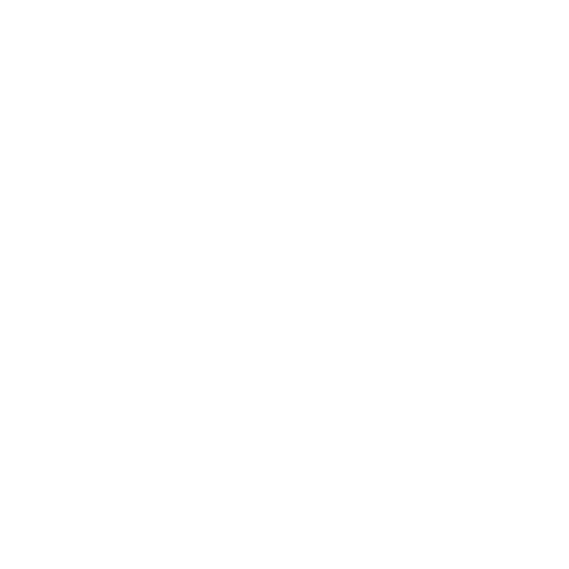 Custom icon