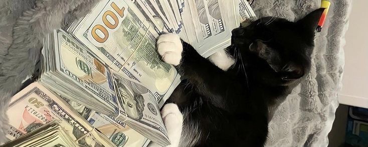 Profile Banner