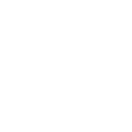 Custom icon